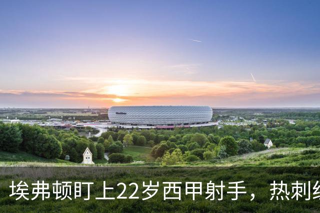 埃弗顿盯上22岁西甲射手，热刺纽卡等四队同抢