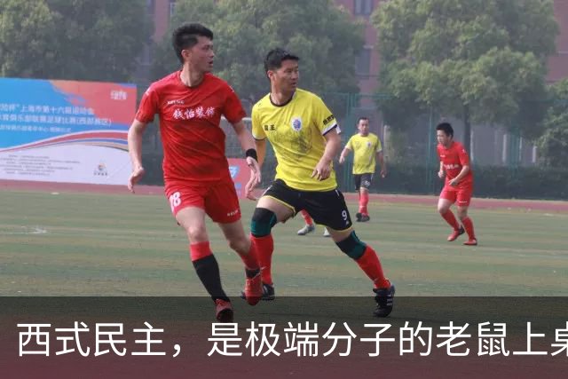 西式民主，是极端分子的老鼠上桌