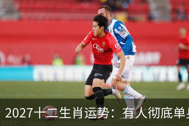 2027十二生肖运势：有人彻底单身，有人乘风而起，有人要防住小人